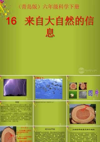 六年级科学下册《来自大自然的信息》课件7 青岛版