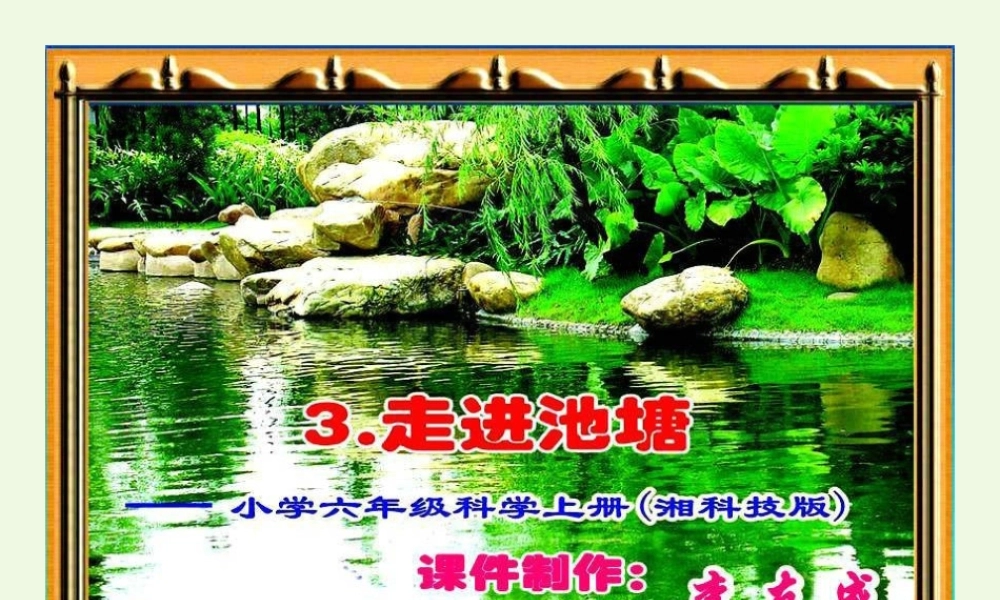 六年级科学上册 1.3 走进池塘课件2 湘教版-湘教版小学六年级上册自然科学课件