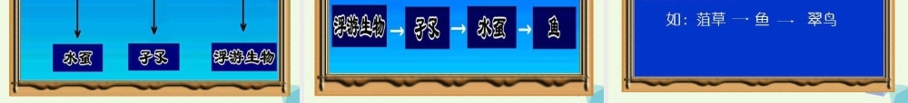 六年级科学上册 1.3 走进池塘课件2 湘教版-湘教版小学六年级上册自然科学课件