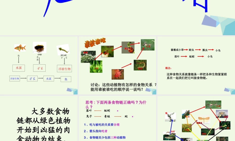 六年级科学上册 1.3 走进池塘课件3 湘教版-湘教版小学六年级上册自然科学课件