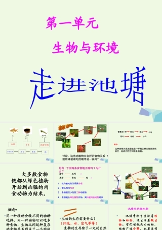 六年级科学上册 1.3 走进池塘课件3 湘教版-湘教版小学六年级上册自然科学课件