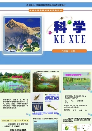 六年级科学上册 1.3 走进池塘课件4 湘教版-湘教版小学六年级上册自然科学课件