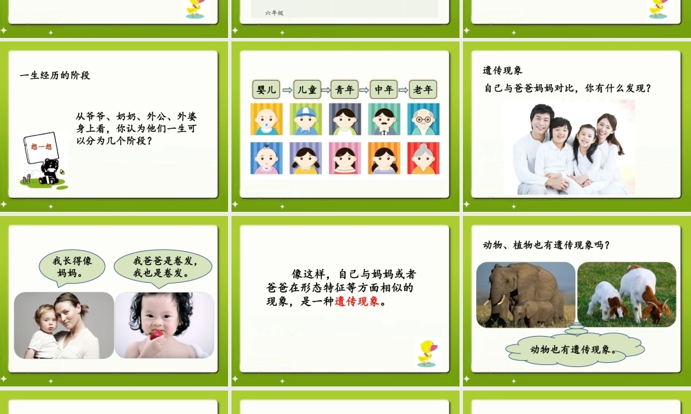 六年级科学上册 第1课 我们的生长发育课件3 鄂教版-鄂教版小学六年级上册自然科学课件