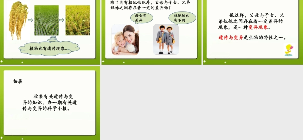 六年级科学上册 第1课 我们的生长发育课件3 鄂教版-鄂教版小学六年级上册自然科学课件