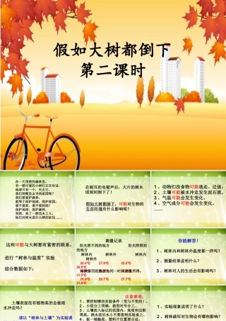 六年级科学上册 1.4 假如大树都倒下（第1课时）课件 湘教版-湘教版小学六年级上册自然科学课件