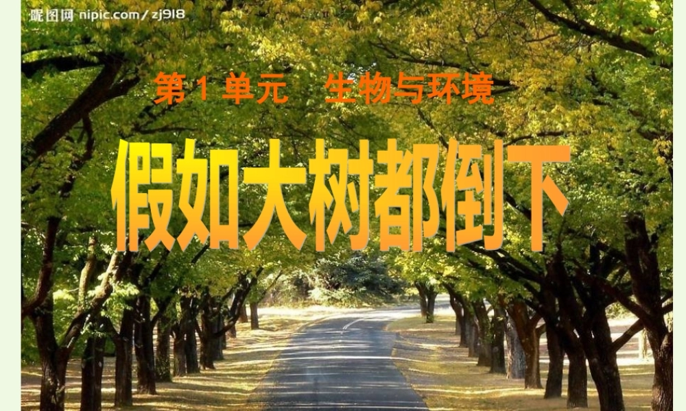 六年级科学上册 1.4 假如大树都倒下（第2课时）课件 湘教版-湘教版小学六年级上册自然科学课件