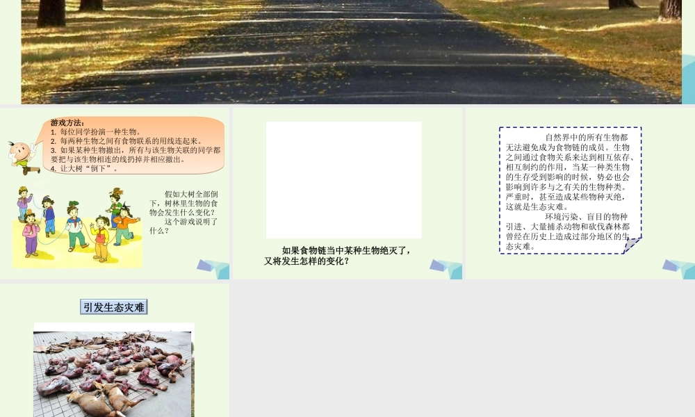 六年级科学上册 1.4 假如大树都倒下（第2课时）课件 湘教版-湘教版小学六年级上册自然科学课件