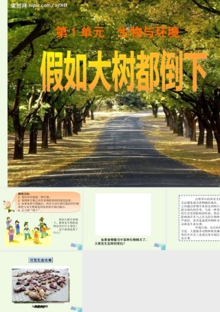 六年级科学上册 1.4 假如大树都倒下（第2课时）课件 湘教版-湘教版小学六年级上册自然科学课件