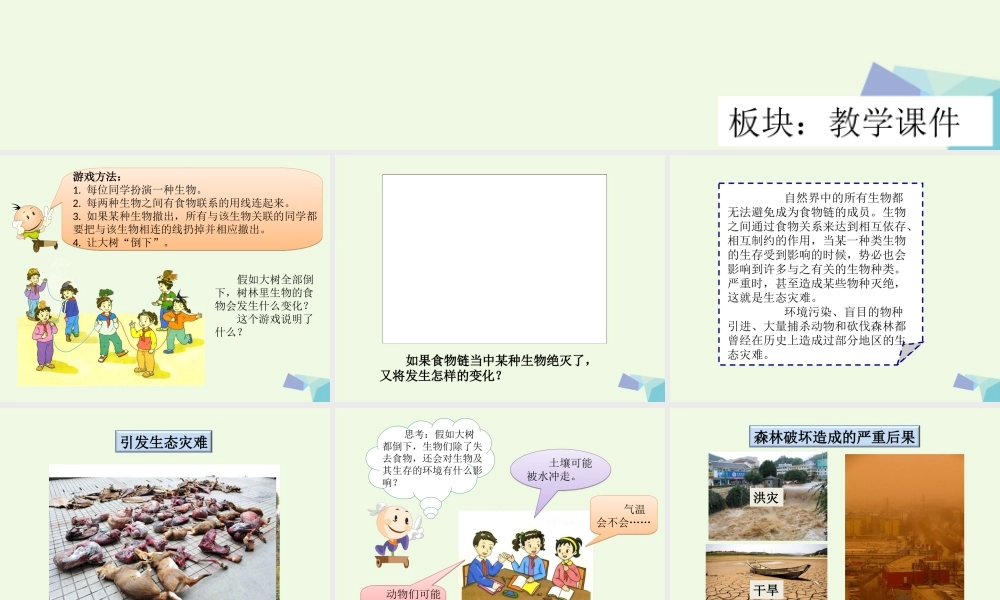 六年级科学上册 1.4 假如大树都倒下课件1 湘教版-湘教版小学六年级上册自然科学课件