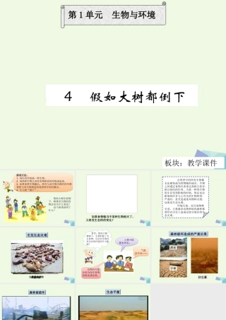 六年级科学上册 1.4 假如大树都倒下课件1 湘教版-湘教版小学六年级上册自然科学课件