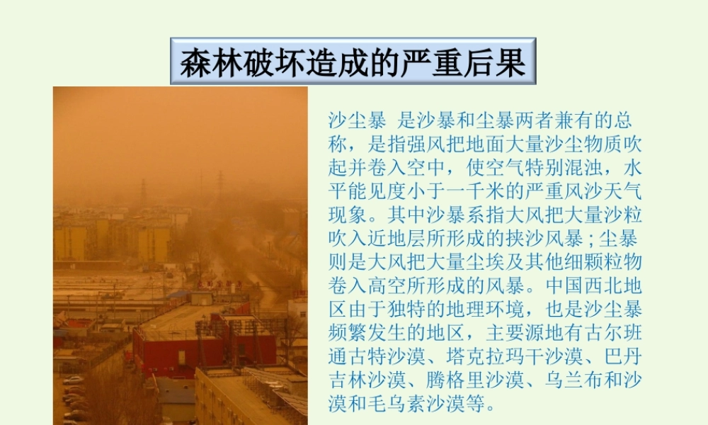 六年级科学上册 1.4 假如大树都倒下课件2 湘教版-湘教版小学六年级上册自然科学课件