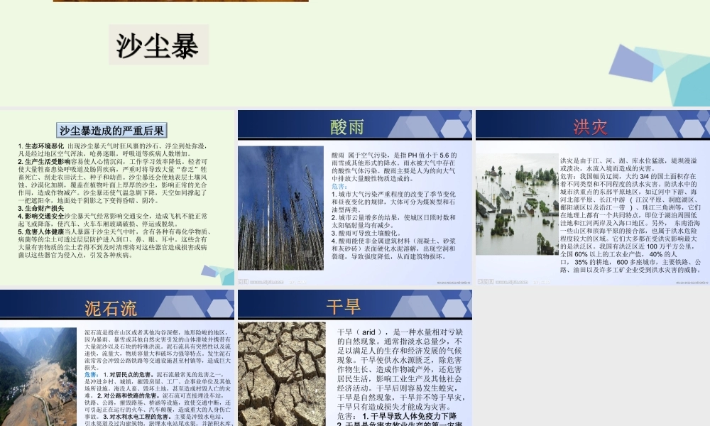 六年级科学上册 1.4 假如大树都倒下课件2 湘教版-湘教版小学六年级上册自然科学课件