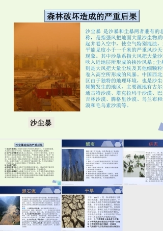 六年级科学上册 1.4 假如大树都倒下课件2 湘教版-湘教版小学六年级上册自然科学课件