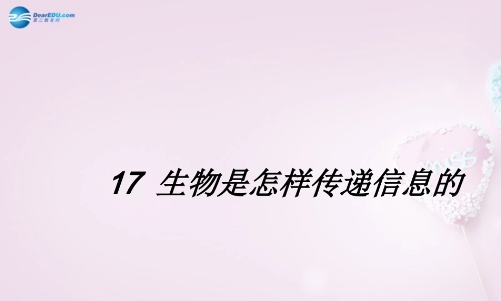 六年级科学下册《生物是怎样传递信息的》课件1 青岛版