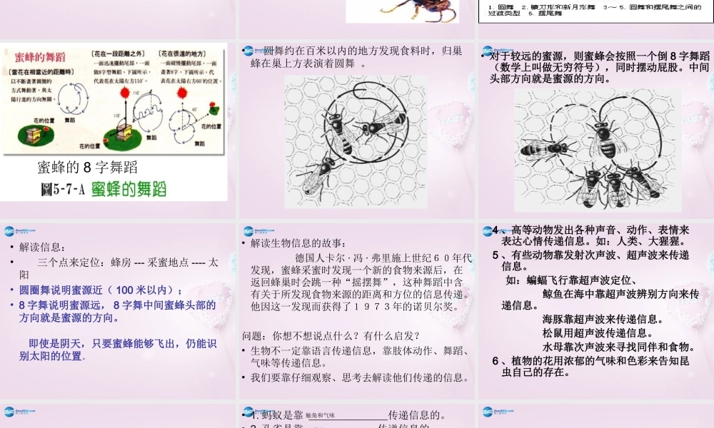 六年级科学下册《生物是怎样传递信息的》课件1 青岛版
