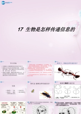 六年级科学下册《生物是怎样传递信息的》课件1 青岛版