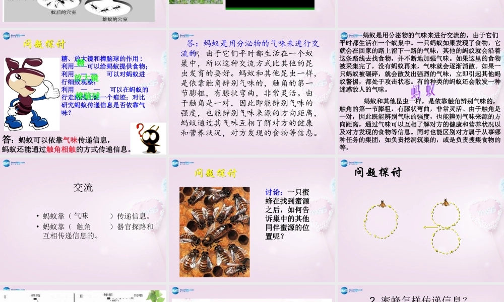 六年级科学下册《生物是怎样传递信息的》课件2 青岛版