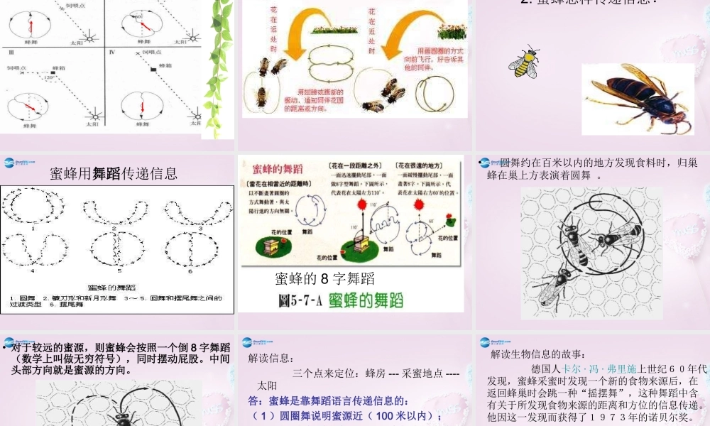 六年级科学下册《生物是怎样传递信息的》课件2 青岛版