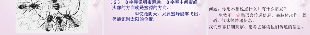 六年级科学下册《生物是怎样传递信息的》课件2 青岛版