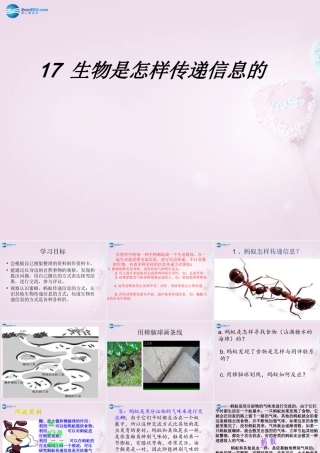六年级科学下册《生物是怎样传递信息的》课件2 青岛版