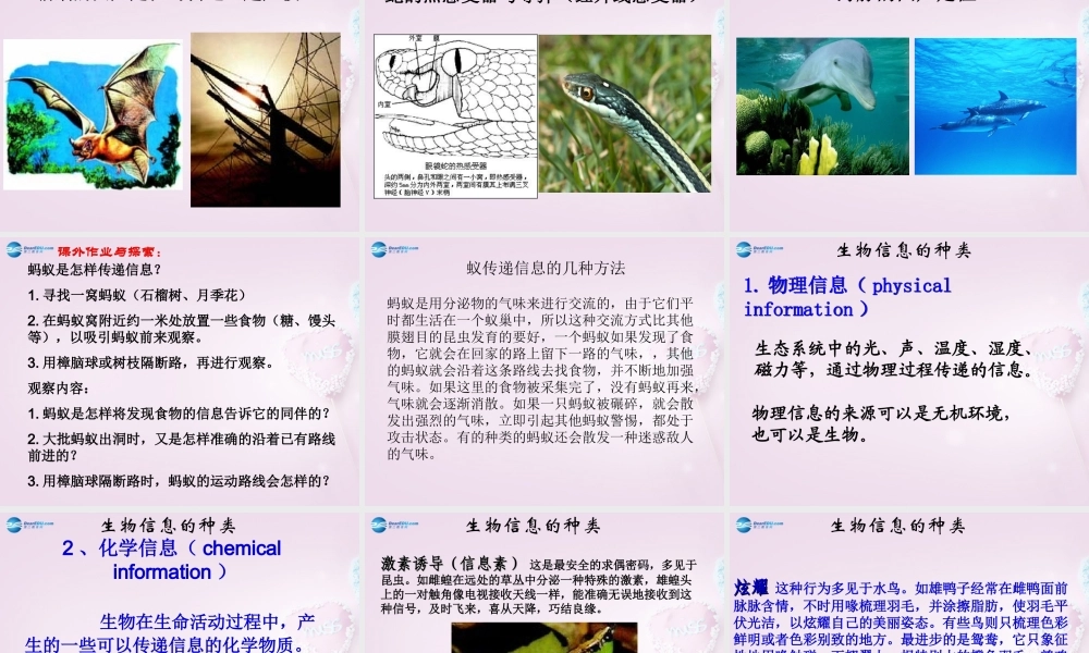 六年级科学下册《生物是怎样传递信息的》课件3 青岛版