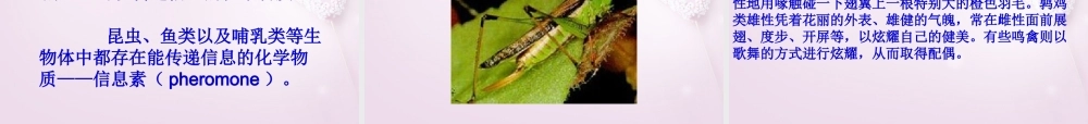 六年级科学下册《生物是怎样传递信息的》课件3 青岛版