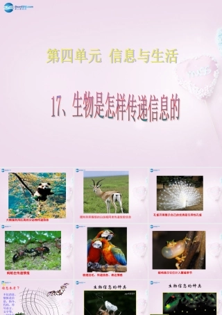 六年级科学下册《生物是怎样传递信息的》课件3 青岛版