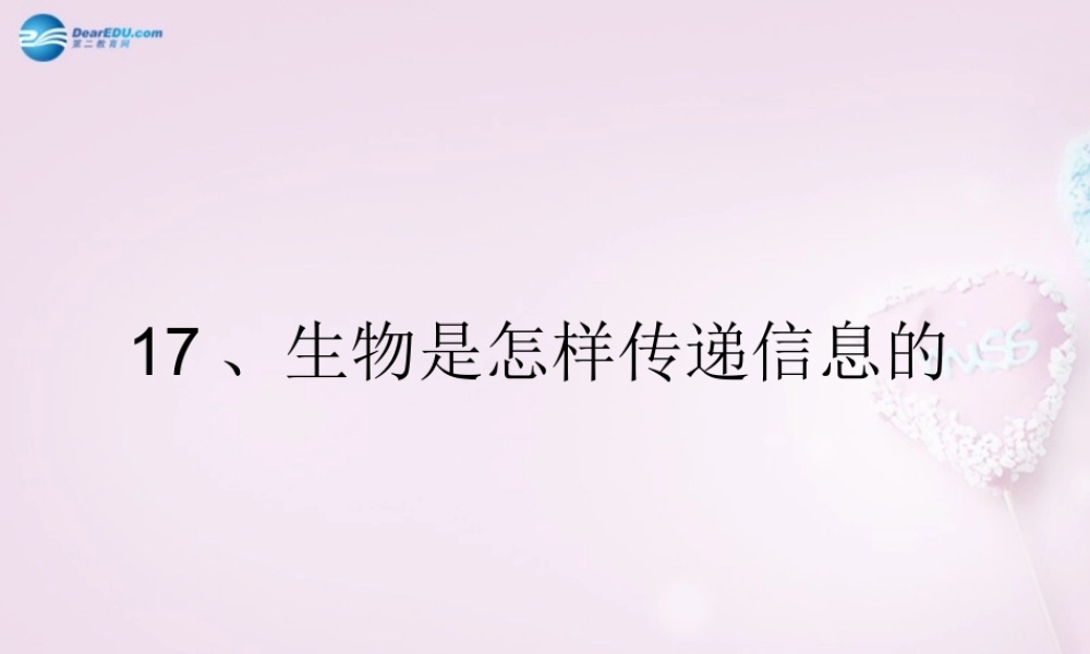 六年级科学下册《生物是怎样传递信息的》课件4 青岛版