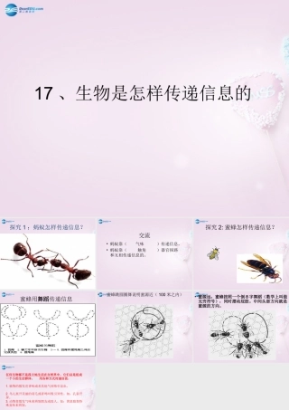 六年级科学下册《生物是怎样传递信息的》课件4 青岛版