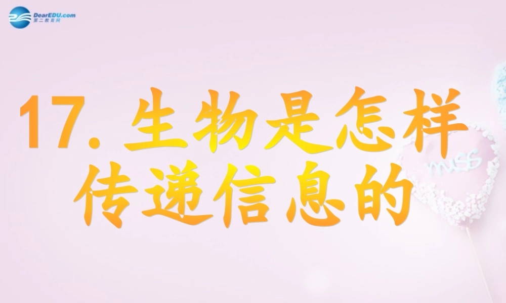 六年级科学下册《生物是怎样传递信息的》课件5 青岛版