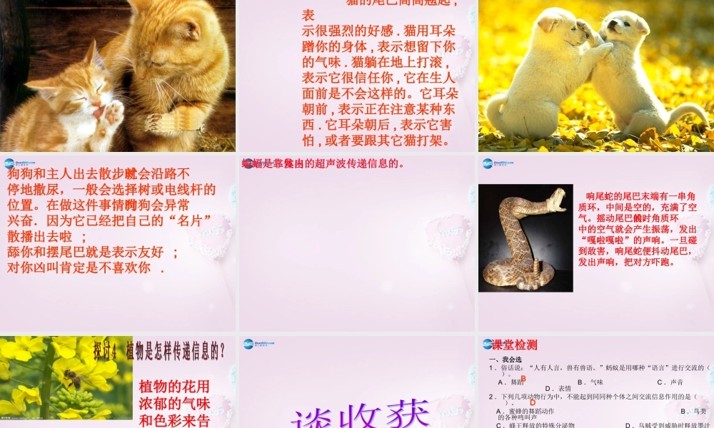 六年级科学下册《生物是怎样传递信息的》课件5 青岛版