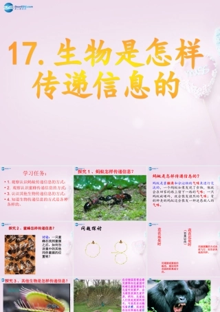 六年级科学下册《生物是怎样传递信息的》课件5 青岛版