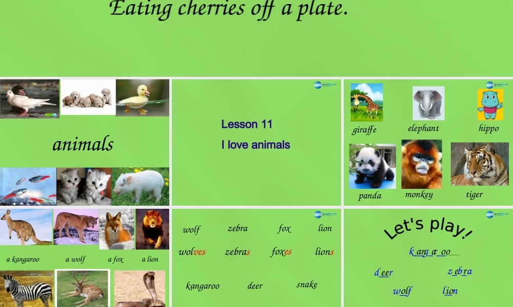 六年级英语下册《Lesson 11 I love animals》课件1 陕旅版