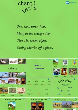 六年级英语下册《Lesson 11 I love animals》课件1 陕旅版