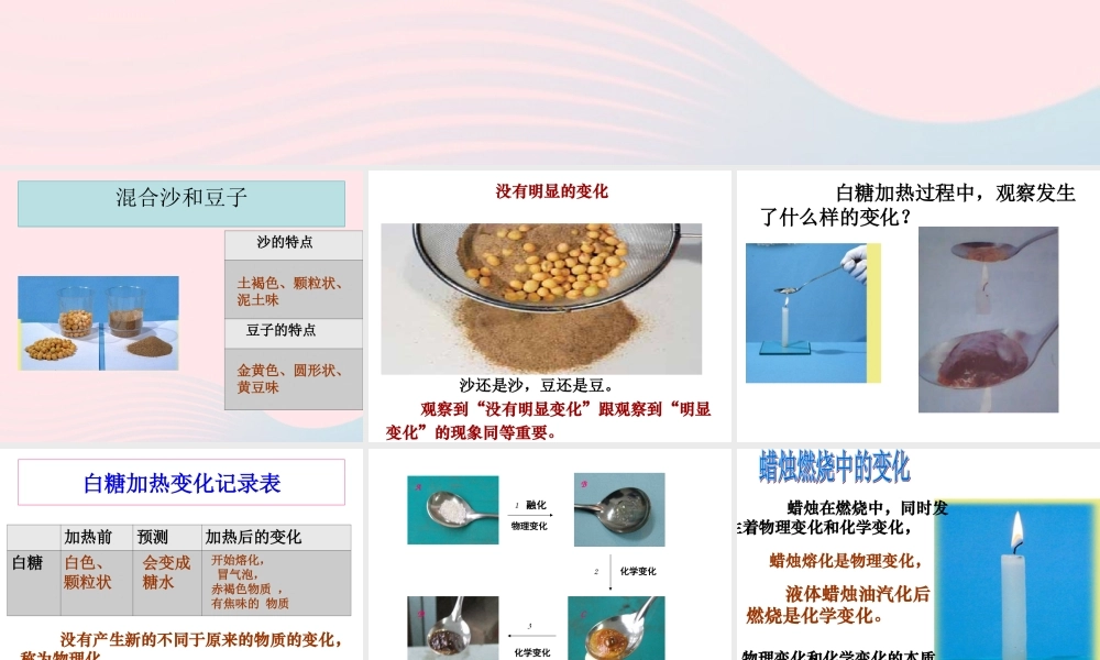 六年级科学下册 第二单元 物质的变化 2《物质发生了什么变化》课件2 教科版-教科版小学六年级下册自然科学课件