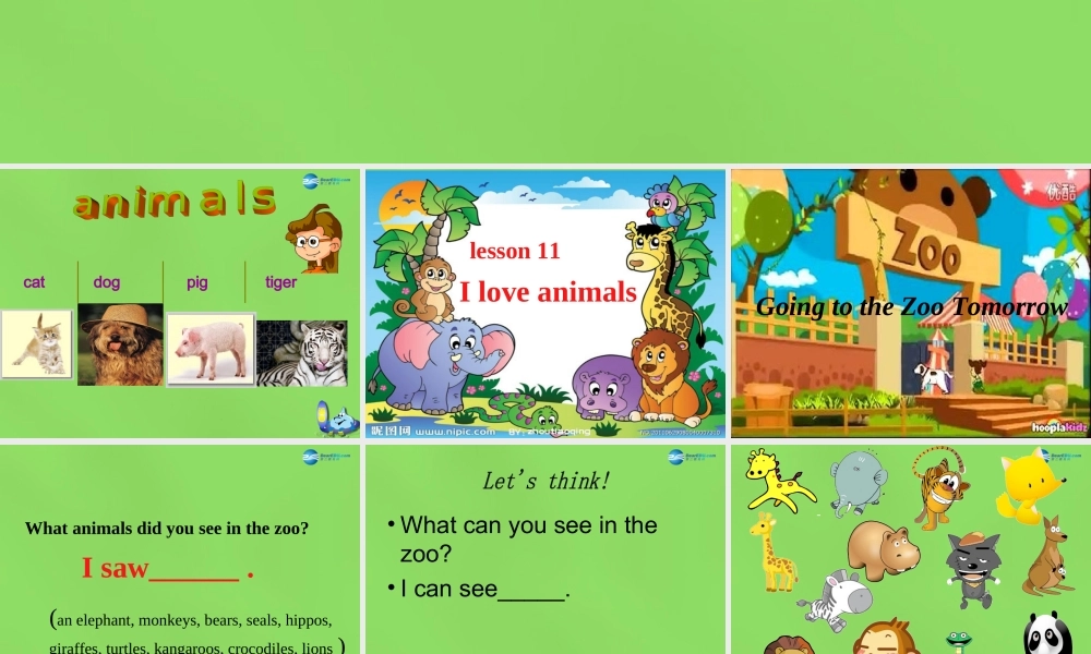 六年级英语下册《Lesson 11 I love animals》课件2 陕旅版