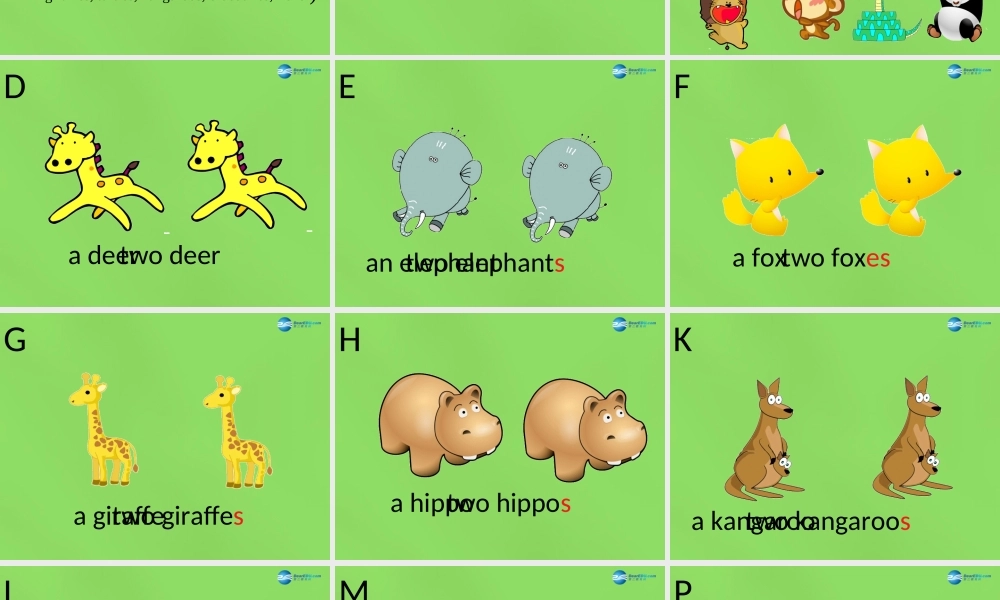 六年级英语下册《Lesson 11 I love animals》课件2 陕旅版