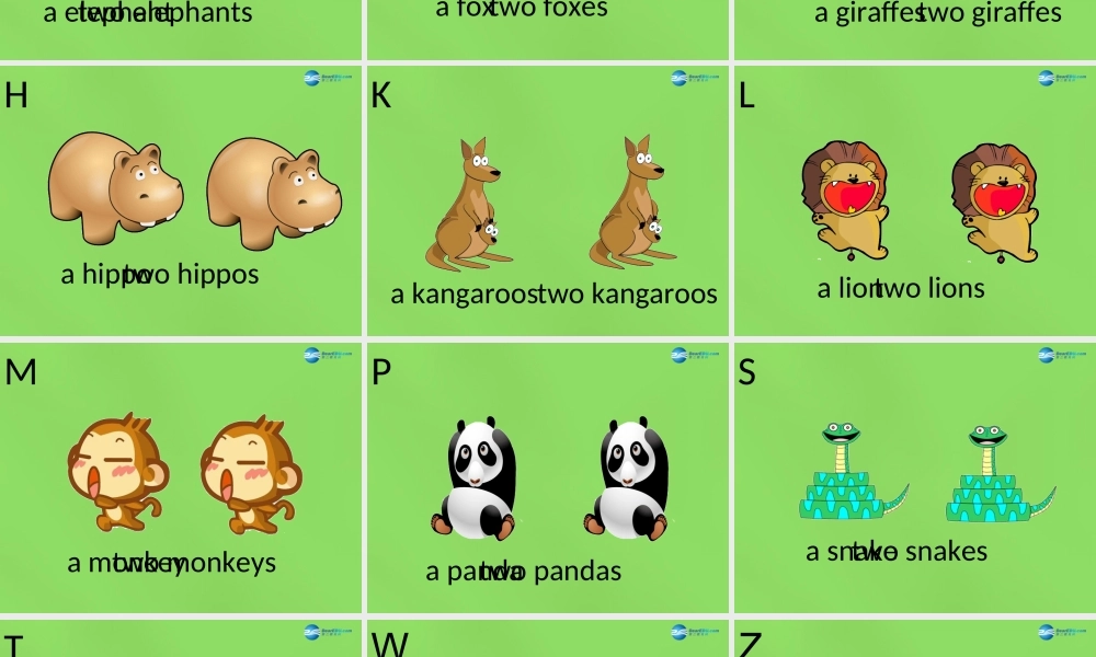 六年级英语下册《Lesson 11 I love animals》课件3 陕旅版