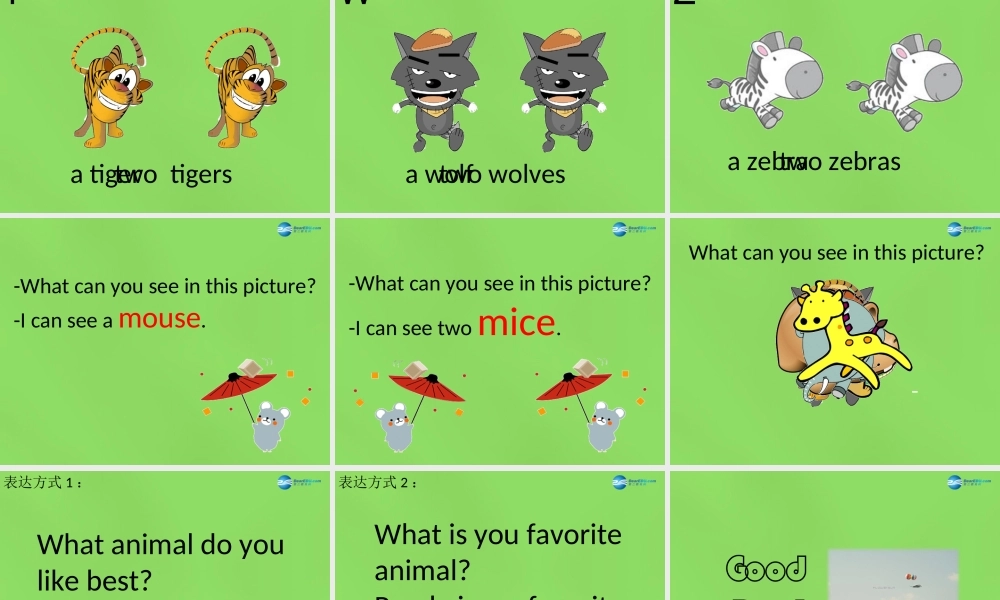 六年级英语下册《Lesson 11 I love animals》课件3 陕旅版