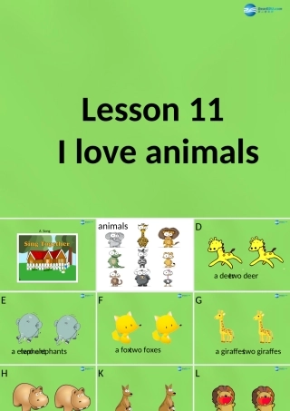 六年级英语下册《Lesson 11 I love animals》课件3 陕旅版