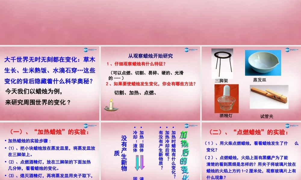 六年级科学上册 第2单元 5 蜡烛的变化课件2 青岛版