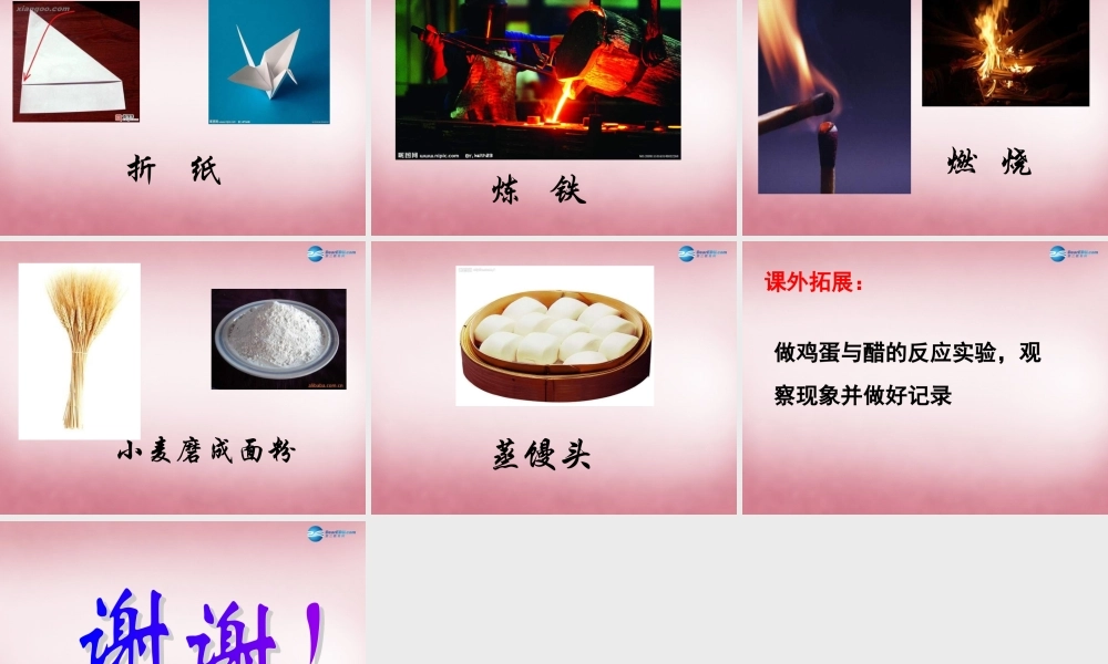 六年级科学上册 第2单元 5 蜡烛的变化课件2 青岛版