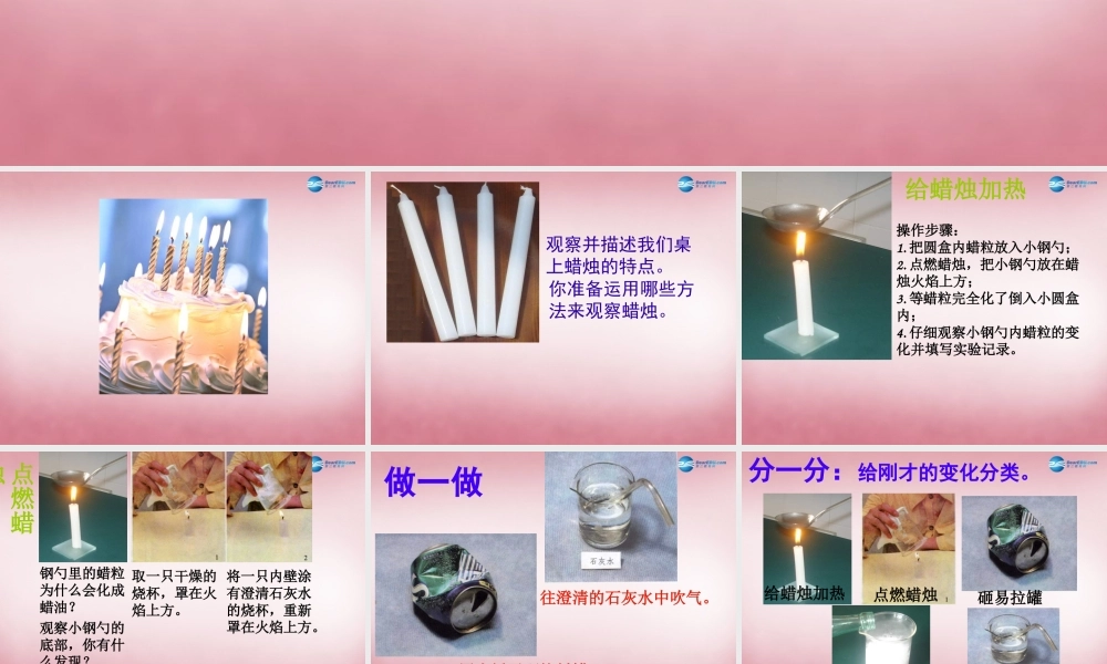 六年级科学上册 第2单元 5 蜡烛的变化课件3 青岛版