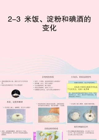 六年级科学下册 第二单元 物质的变化 3 米饭 淀粉和碘酒的变化课件 教科版-教科版小学六年级下册自然科学课件