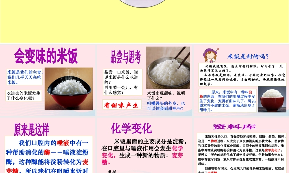 六年级科学下册 第二单元 物质的变化 3 米饭 淀粉和碘酒的变化课件1 教科版-教科版小学六年级下册自然科学课件