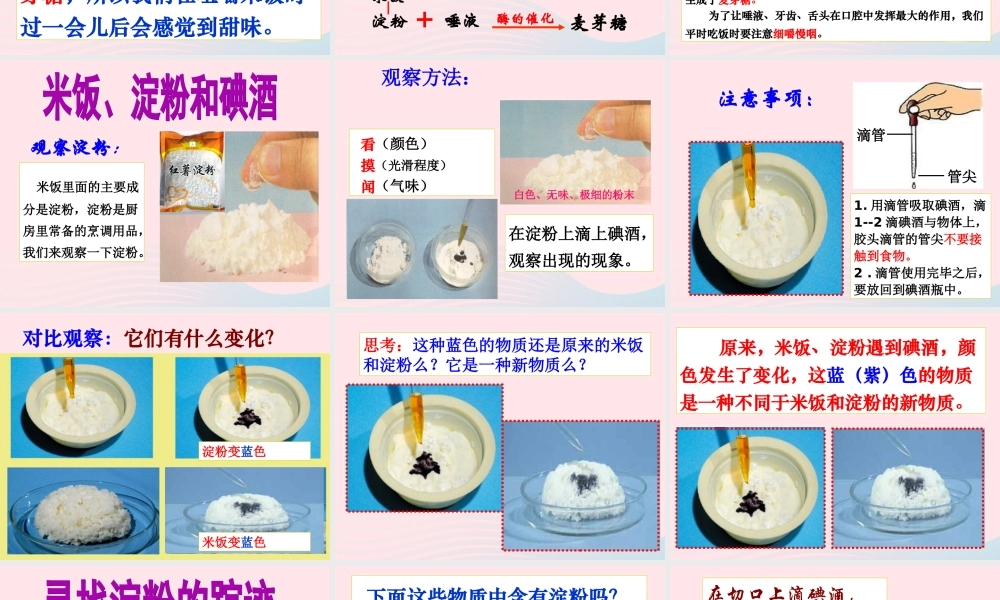 六年级科学下册 第二单元 物质的变化 3 米饭 淀粉和碘酒的变化课件1 教科版-教科版小学六年级下册自然科学课件