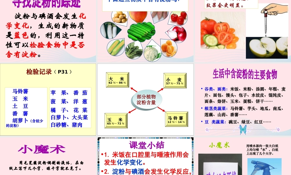 六年级科学下册 第二单元 物质的变化 3 米饭 淀粉和碘酒的变化课件1 教科版-教科版小学六年级下册自然科学课件