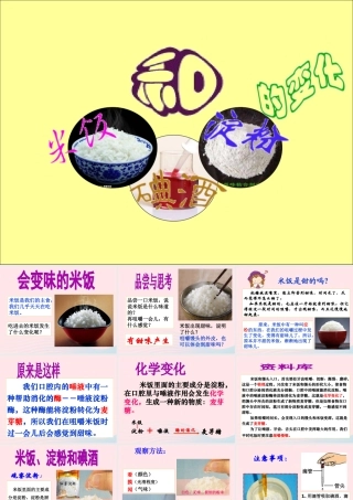 六年级科学下册 第二单元 物质的变化 3 米饭 淀粉和碘酒的变化课件1 教科版-教科版小学六年级下册自然科学课件
