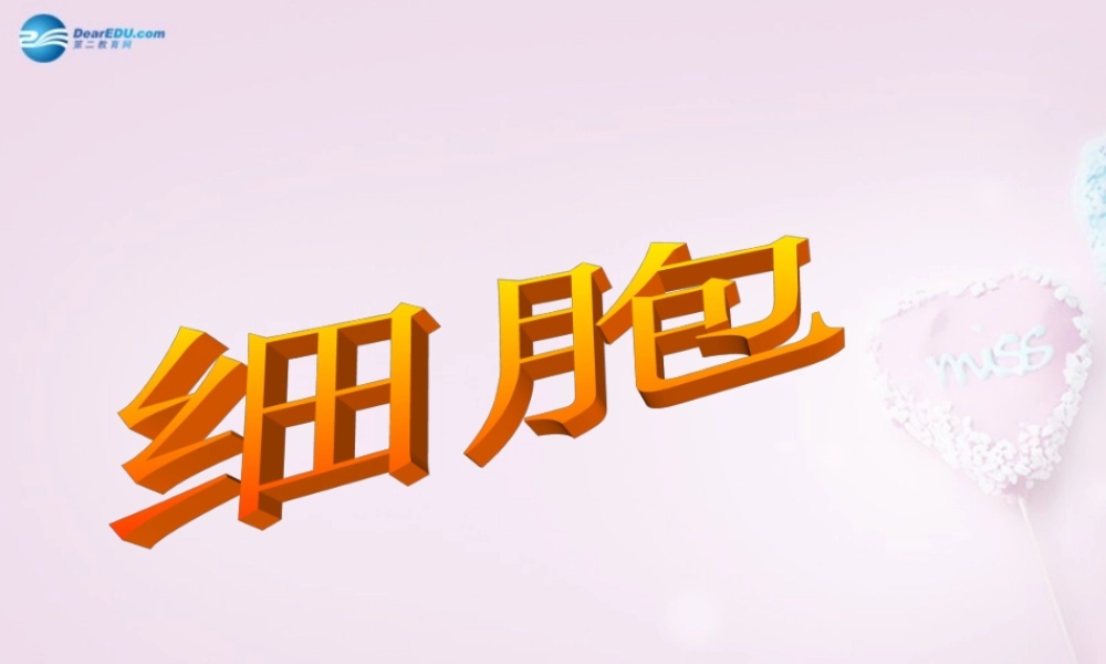 六年级科学下册《细胞》课件1 青岛版
