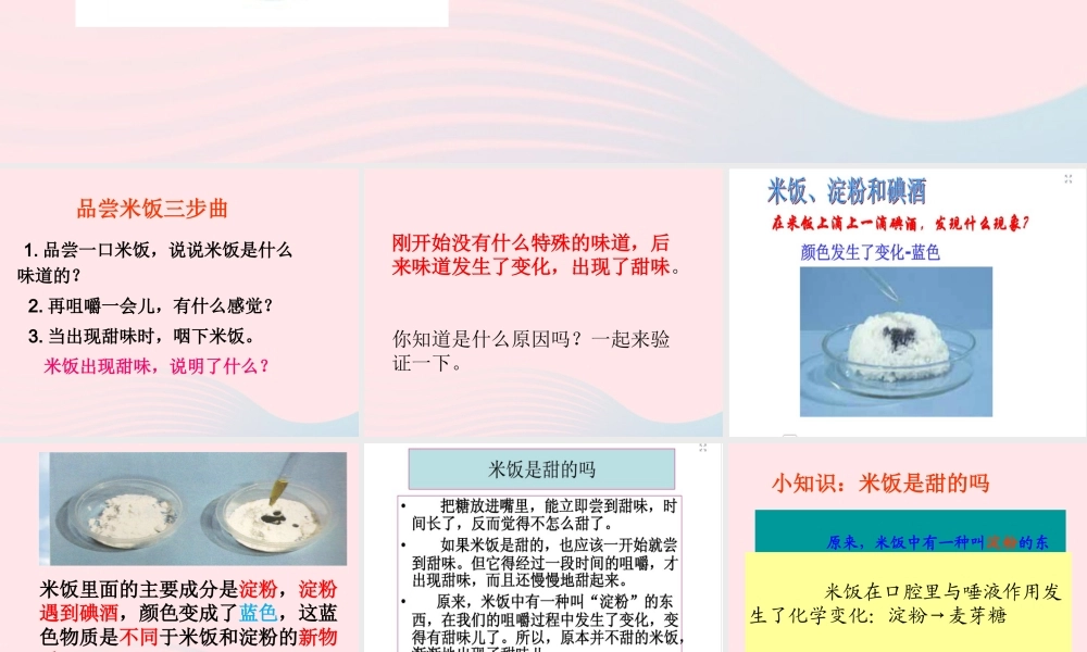 六年级科学下册 第二单元 物质的变化 3 米饭 淀粉和碘酒的变化课件2 教科版-教科版小学六年级下册自然科学课件